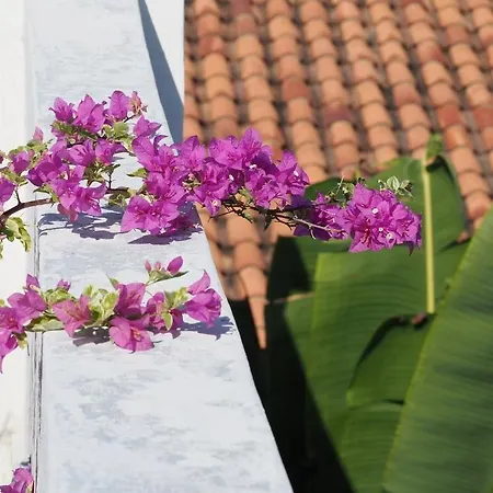 Hotel Casa Cytia